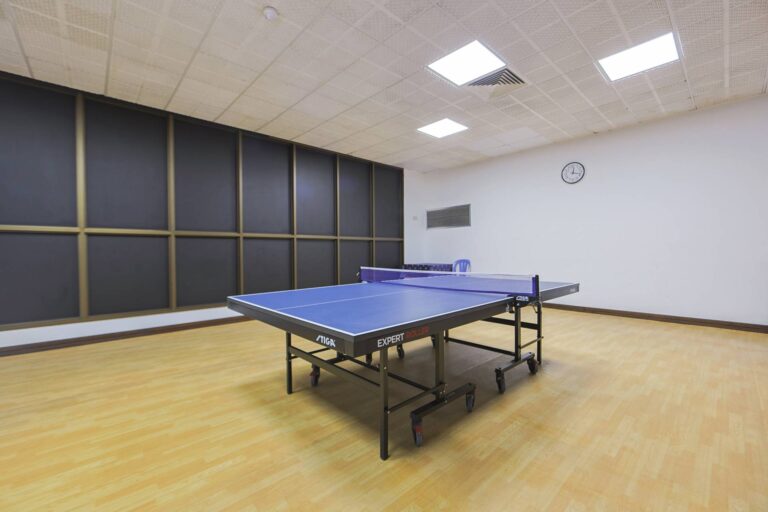 table-tennis4