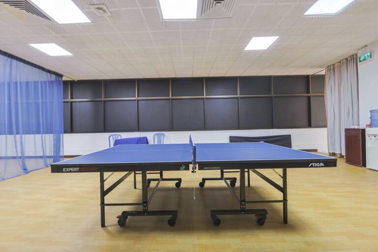 table-tennis3