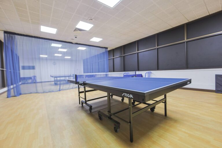 table-tennis2