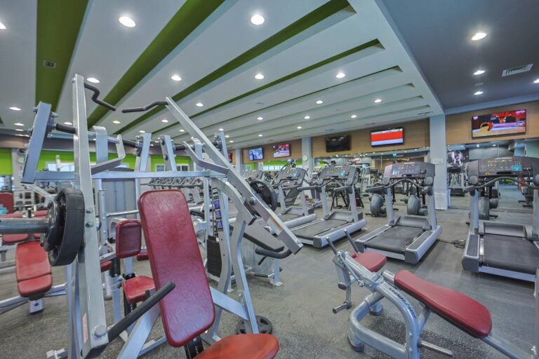 gym3