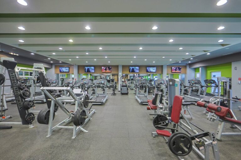 gym7